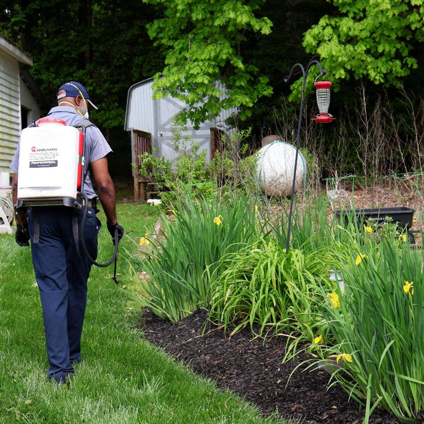 A&S Pest Control in Norlina, NC (3)