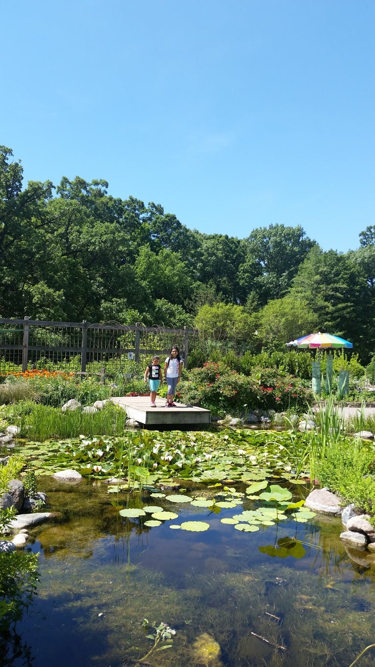 Executive Realty Group Rosa Wayda in Bloomingdale, IL (3)
