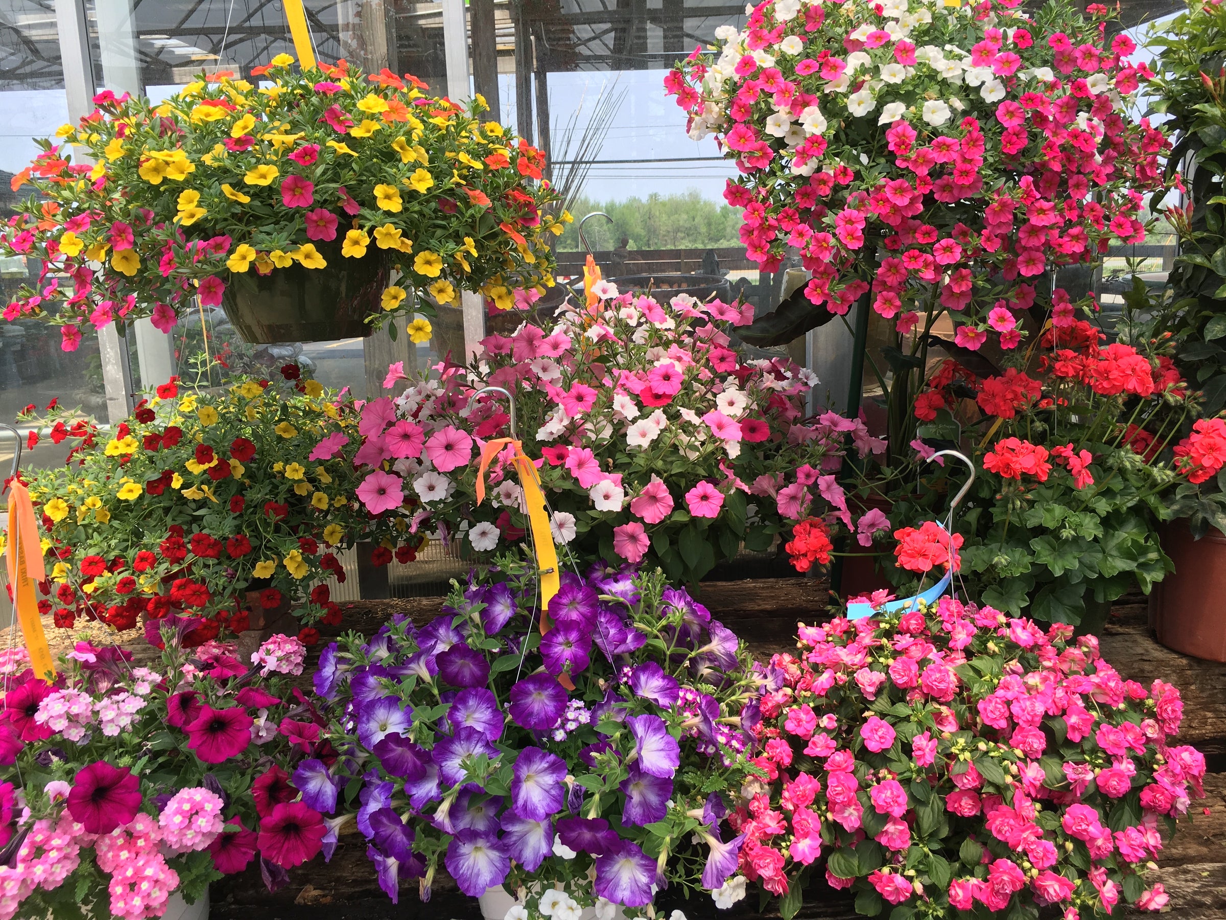 Pot-Luck Greenhouse in Wilmington, OH