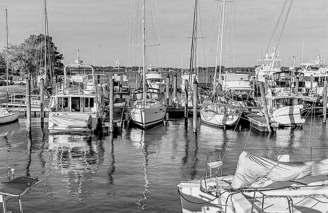 Persimmons Waterfront Restaurant in New Bern, NC (3)