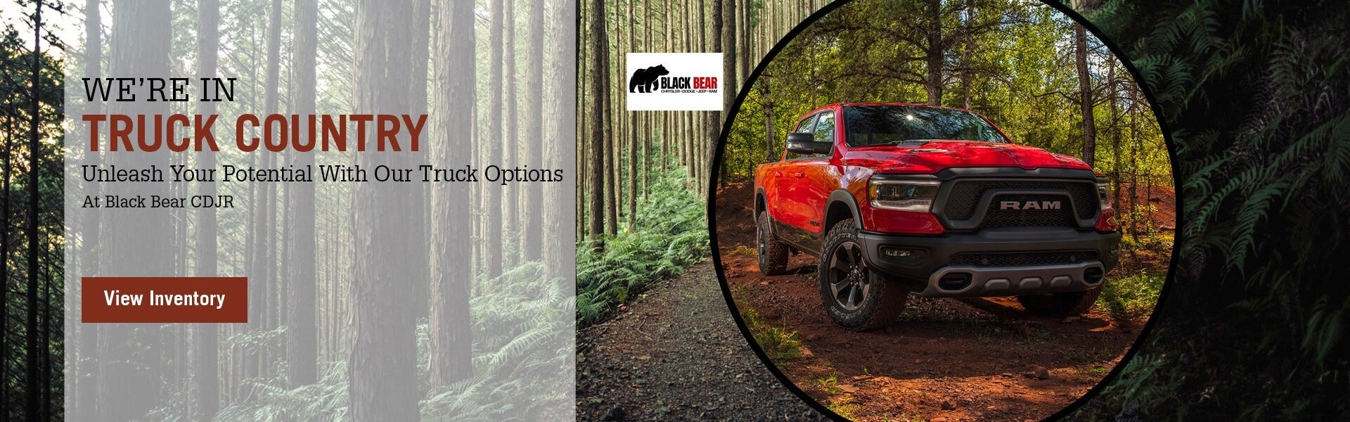 Black Bear Chrysler Dodge Jeep RAM in Clarksburg, WV (2)