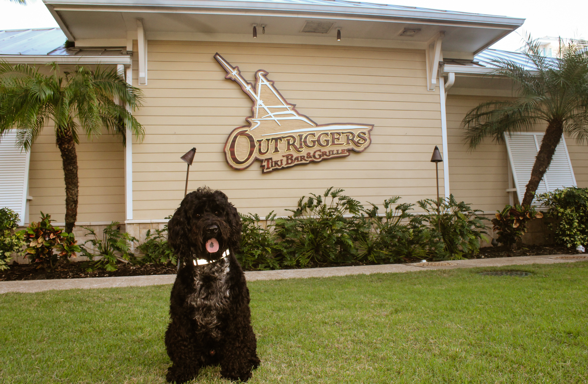 Outriggers Tiki Bar & Grille in New Smyrna Beach, FL