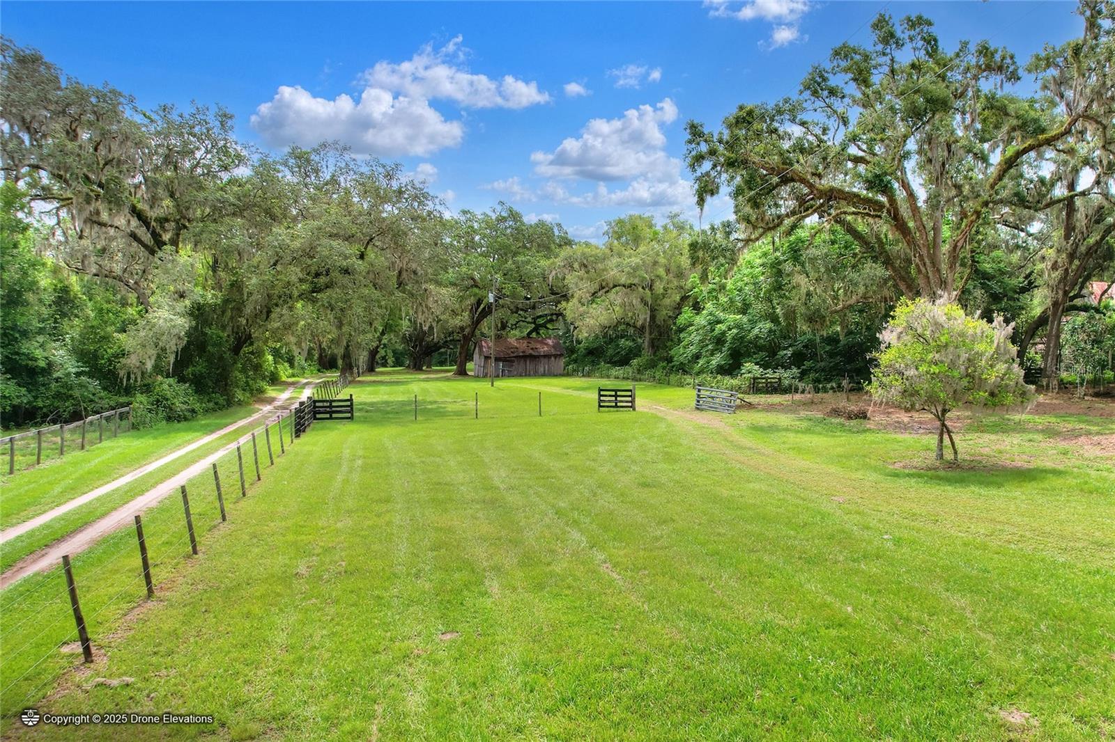 Melissa Connell - Palm & Pine Realty Group, LLC in Istachatta, FL (3)