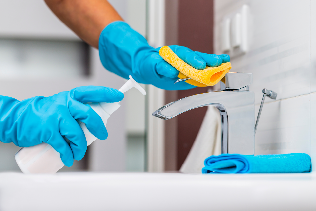 Extreme Maids in Tampa, FL (2)