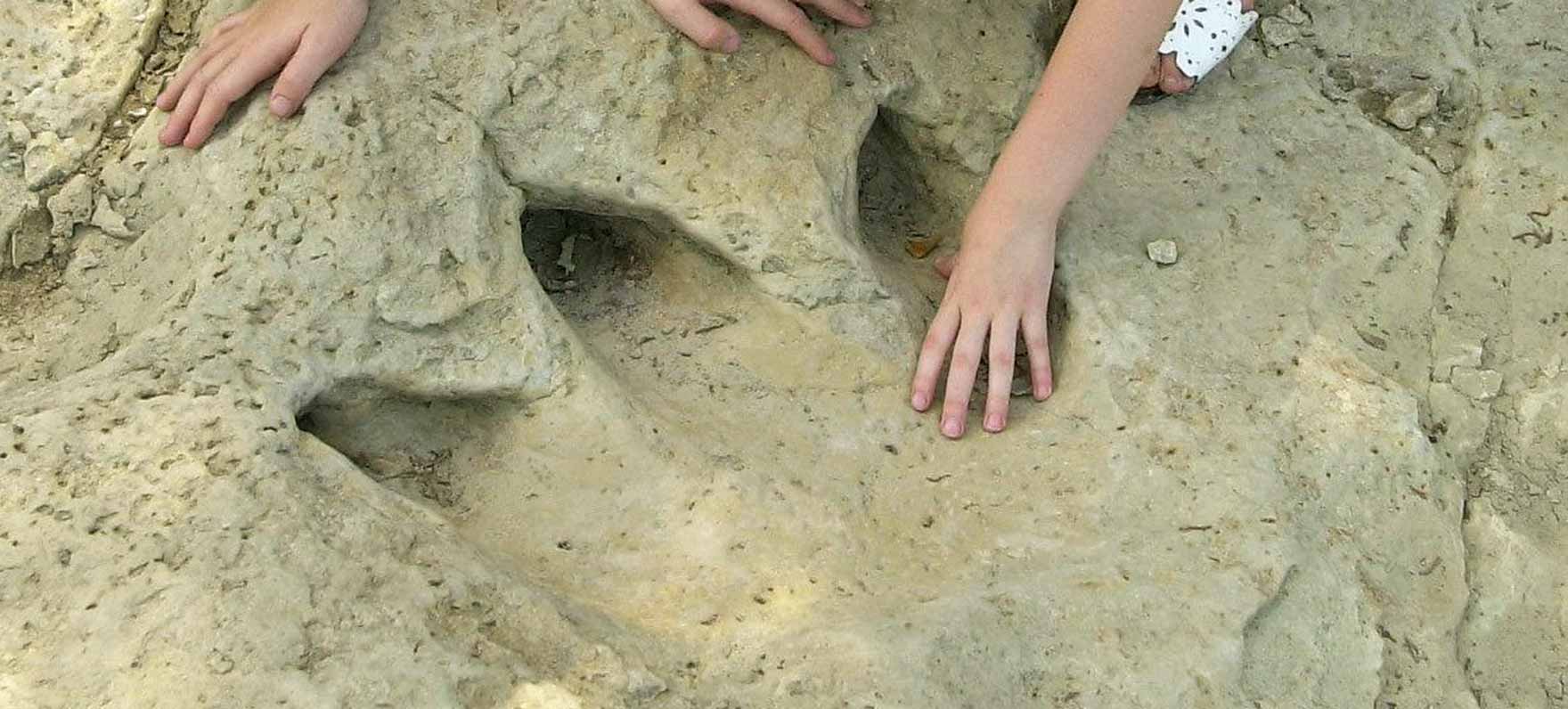 Dinosaur Valley State Park in Glen Rose, TX (3)