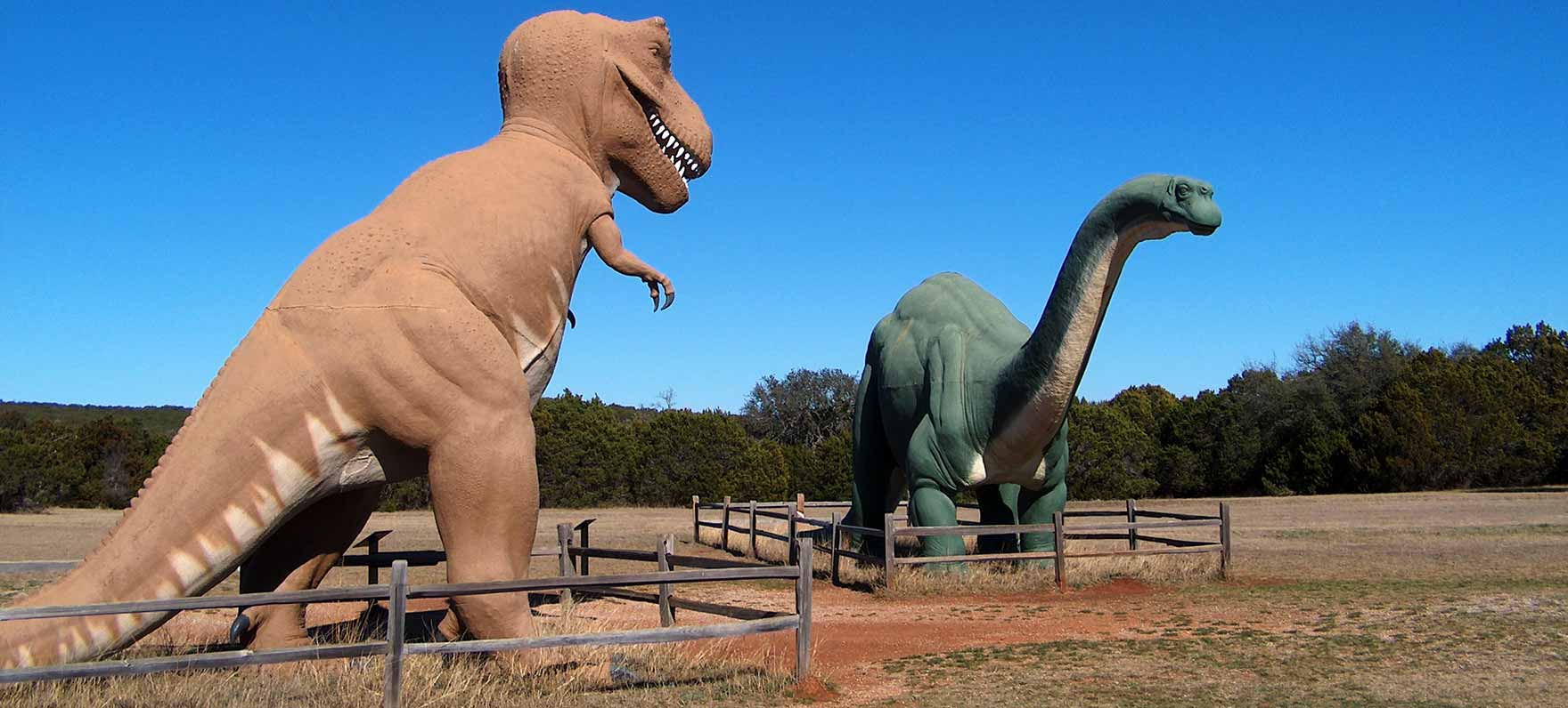 Dinosaur Valley State Park in Glen Rose, TX (4)