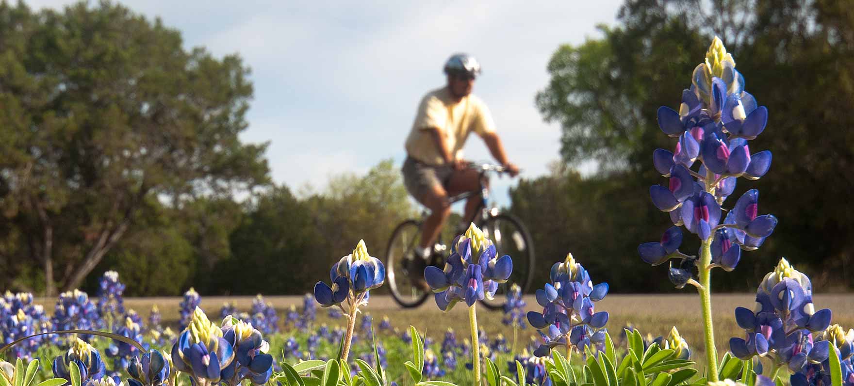 Dinosaur Valley State Park in Glen Rose, TX (6)