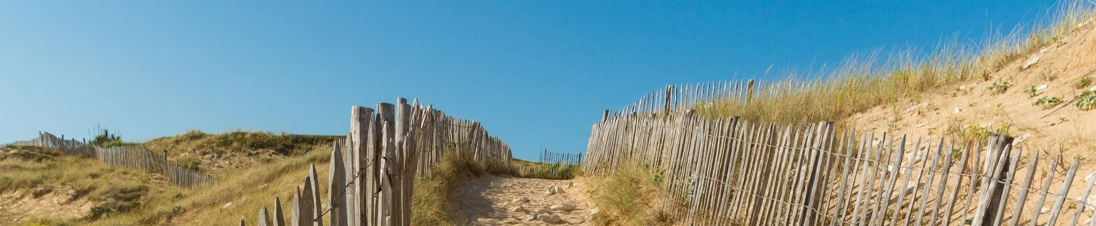 McCown & McCown Attorneys at Law in Manteo, NC (2)