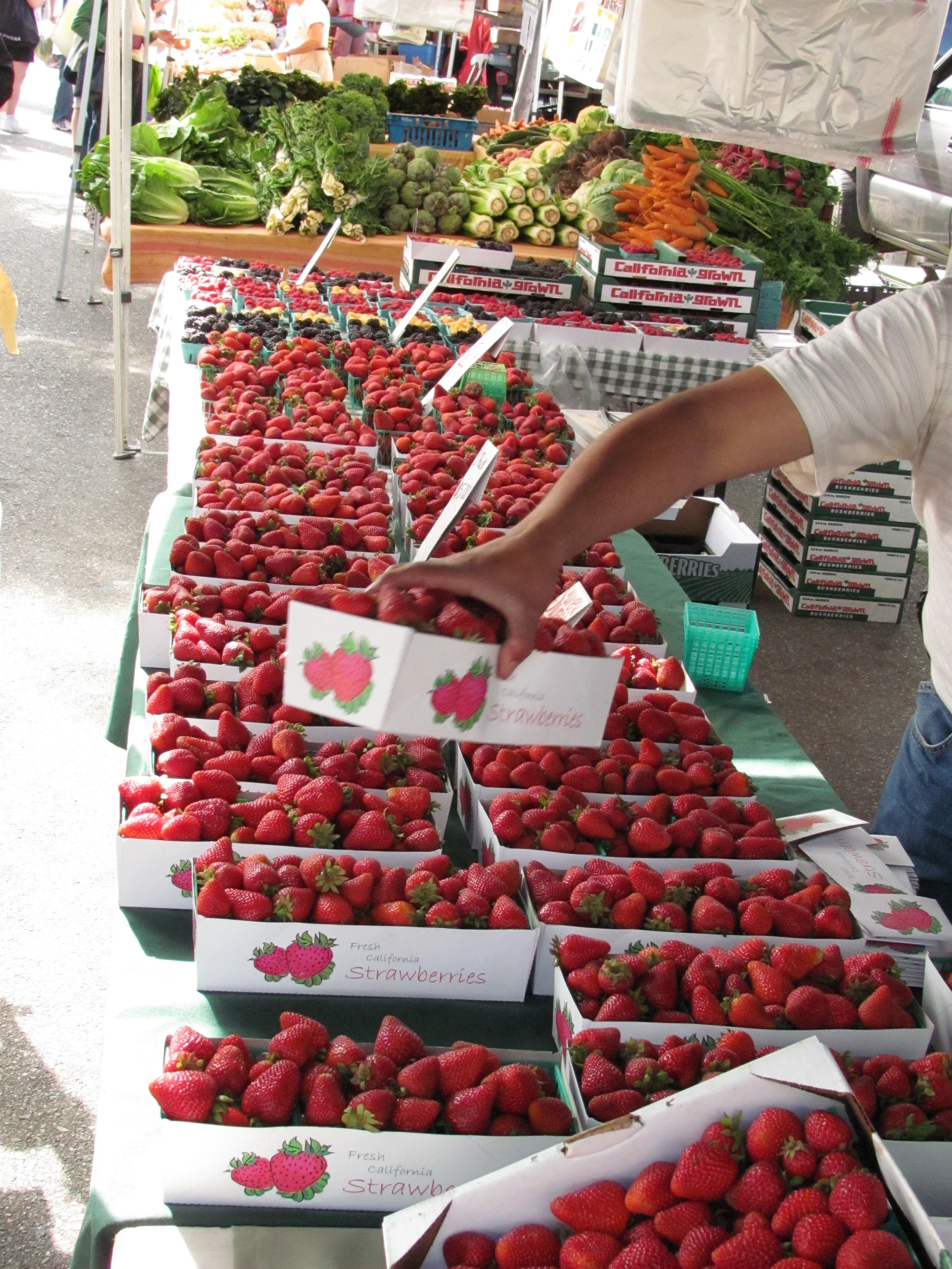Mountain View Farmers' Market in Mountain View, CA (4)