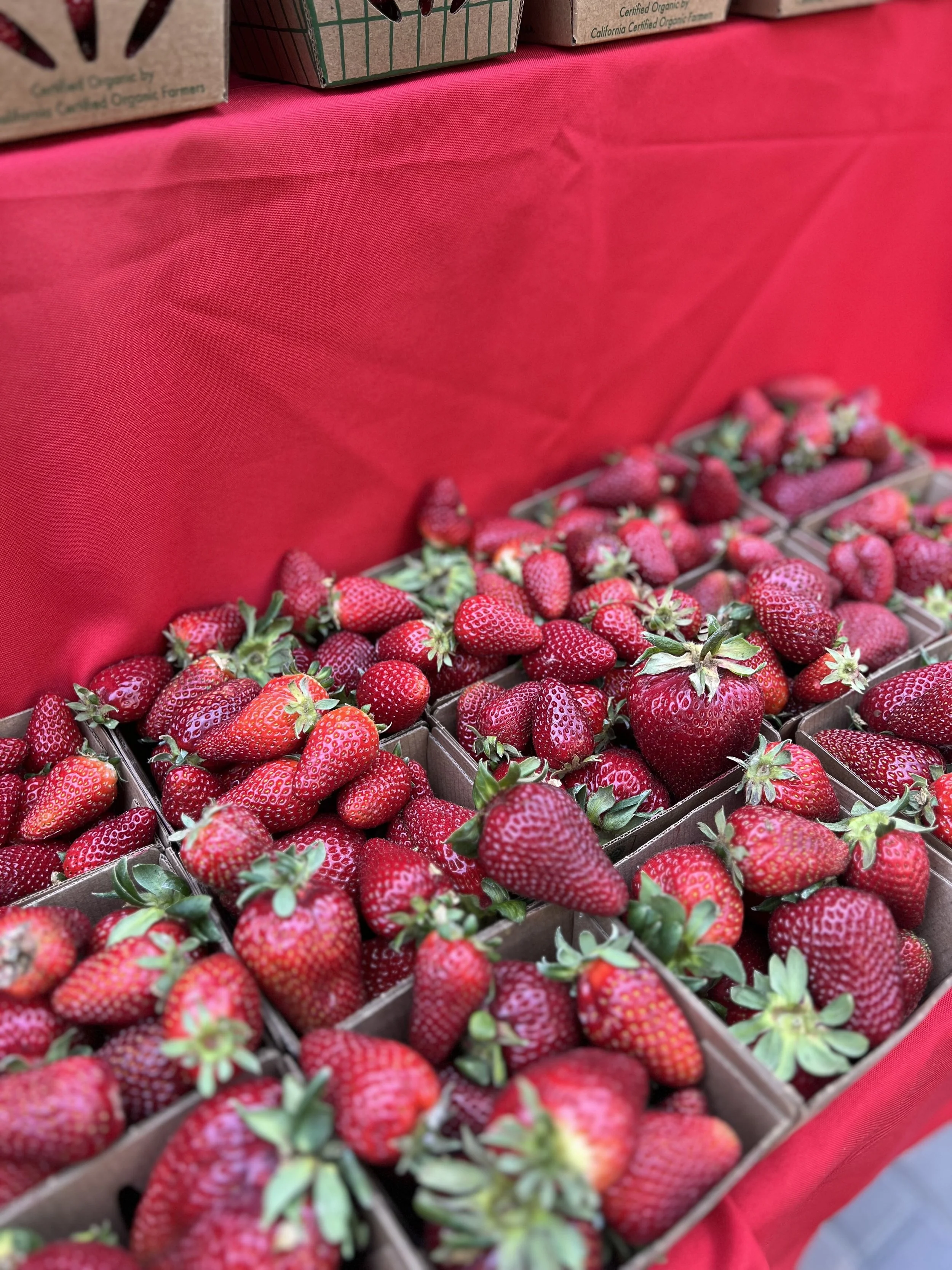 Mountain View Farmers' Market in Mountain View, CA (5)