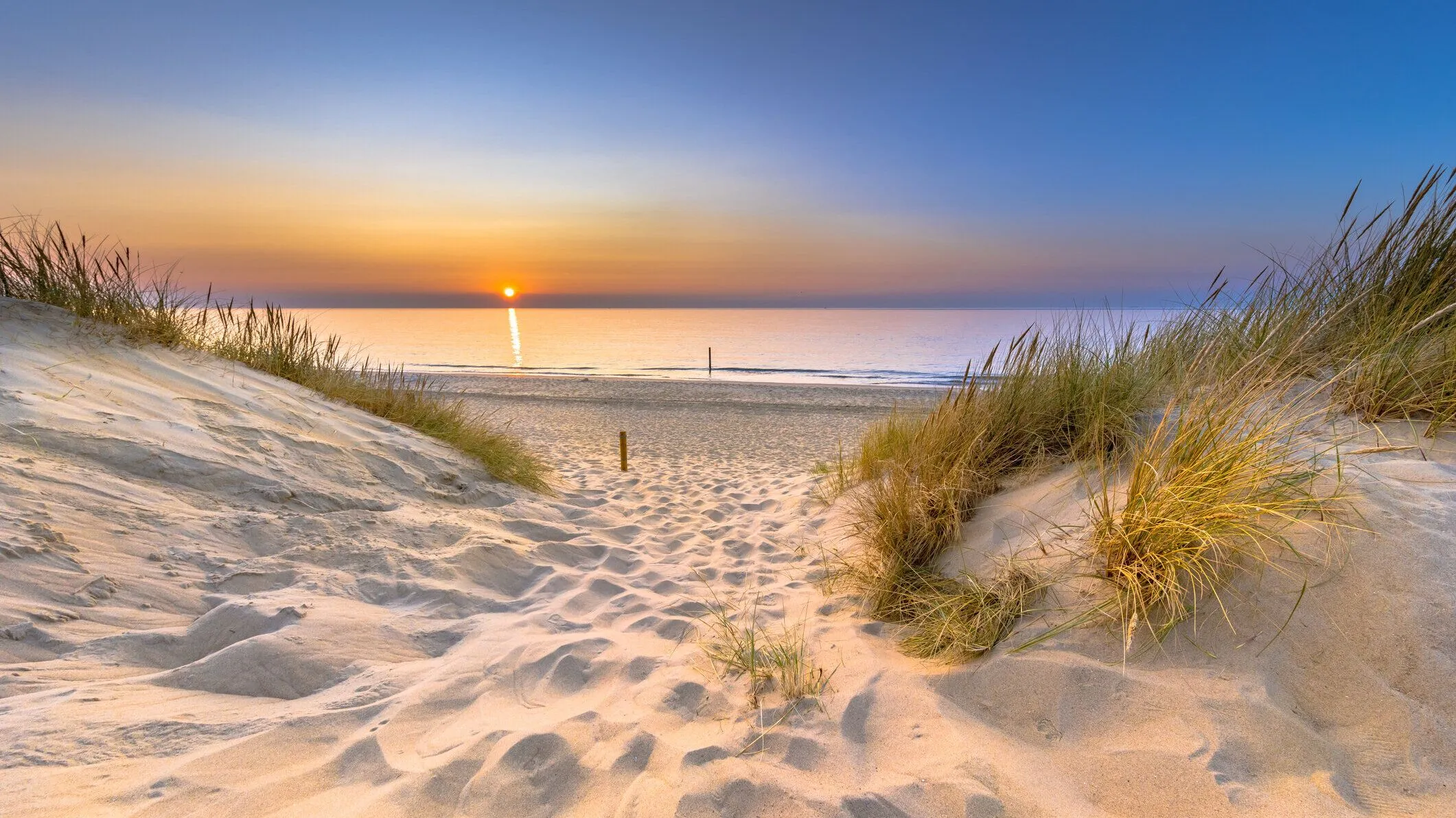 Andrea F. Lennon, P.A. Attorney in Fernandina Beach, FL