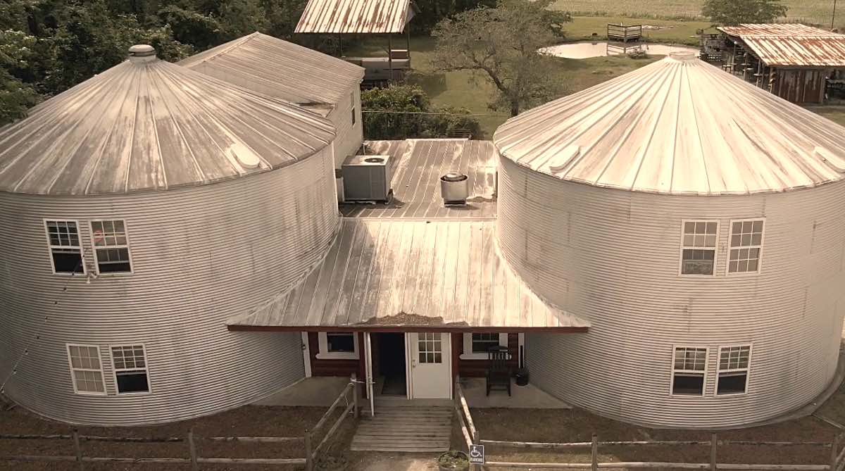 Red Rooster in Oriental, NC (2)