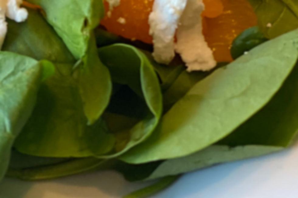 Cheeser's Palace Cafe in Clermont, FL (5)