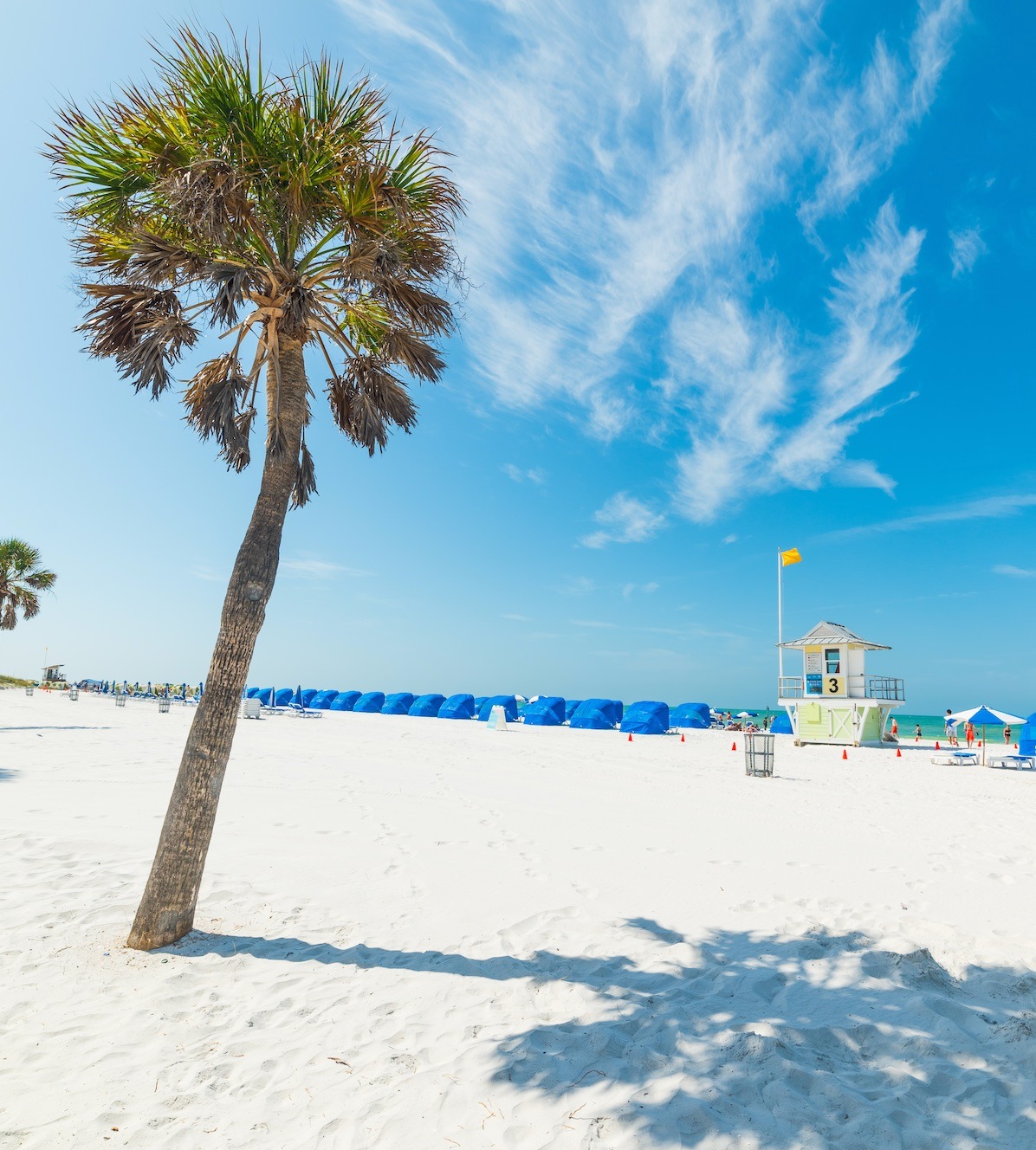 Nelson & McKay CPAs LLC in Tampa, FL