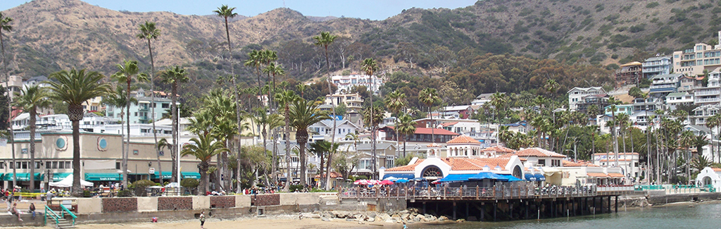 Lawrence R Mitchell & Company, CPA's in El Segundo, CA (3)
