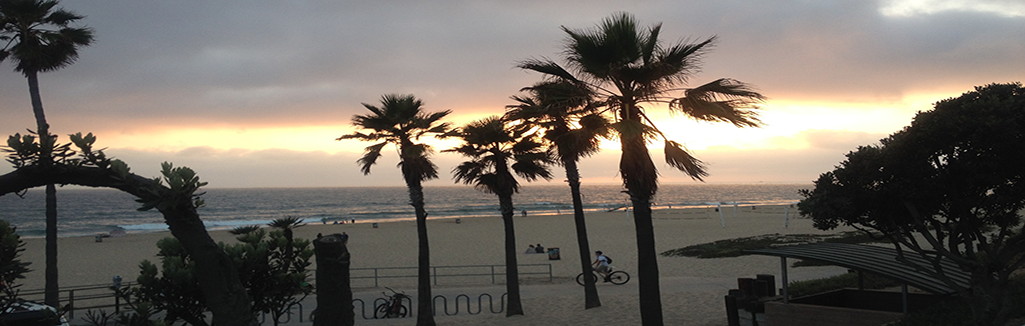 Lawrence R Mitchell & Company, CPA's in El Segundo, CA (4)