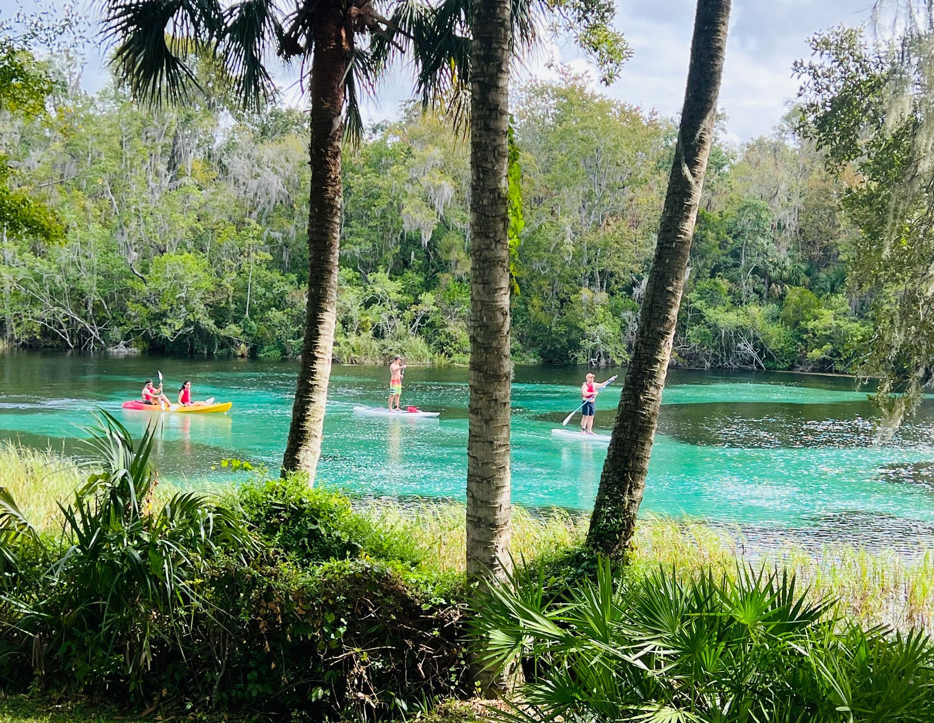 Cheryl Regina, Rainbow Springs Realty Group, Inc in Dunnellon, FL (6)
