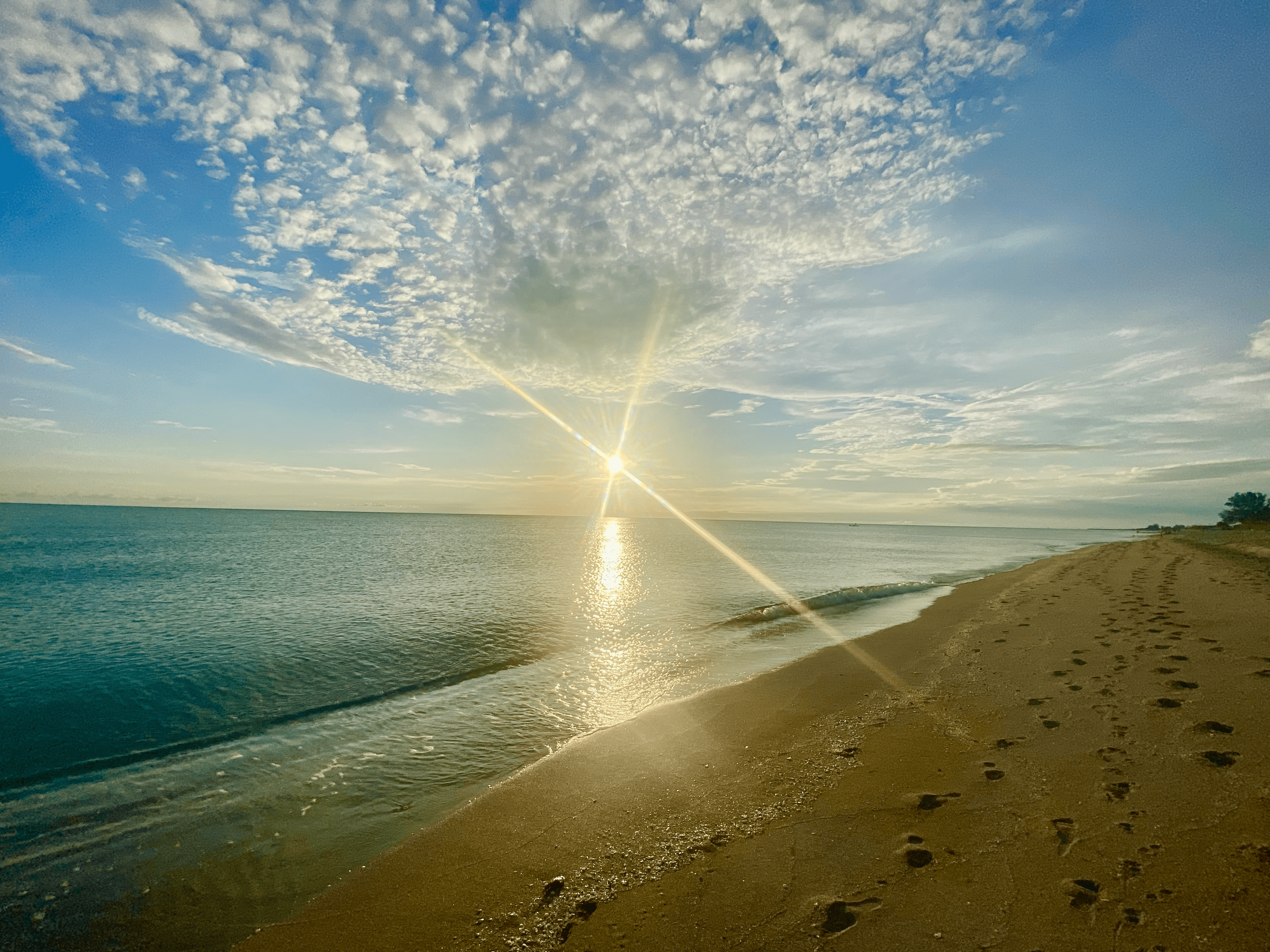 Bill Garrison, RE/MAX Palm Realty, Venice, FL in Venice, FL