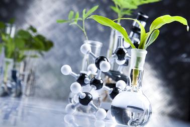 Natural Essentials Inc in Streetsboro, OH (2)