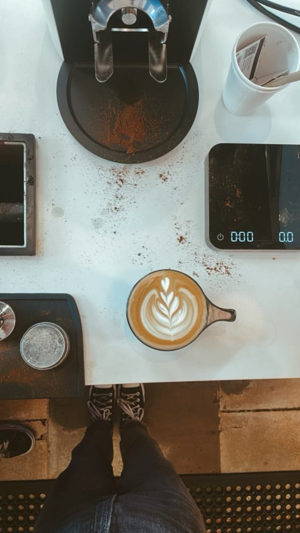 Early Bird Coffee in San Antonio, TX (4)