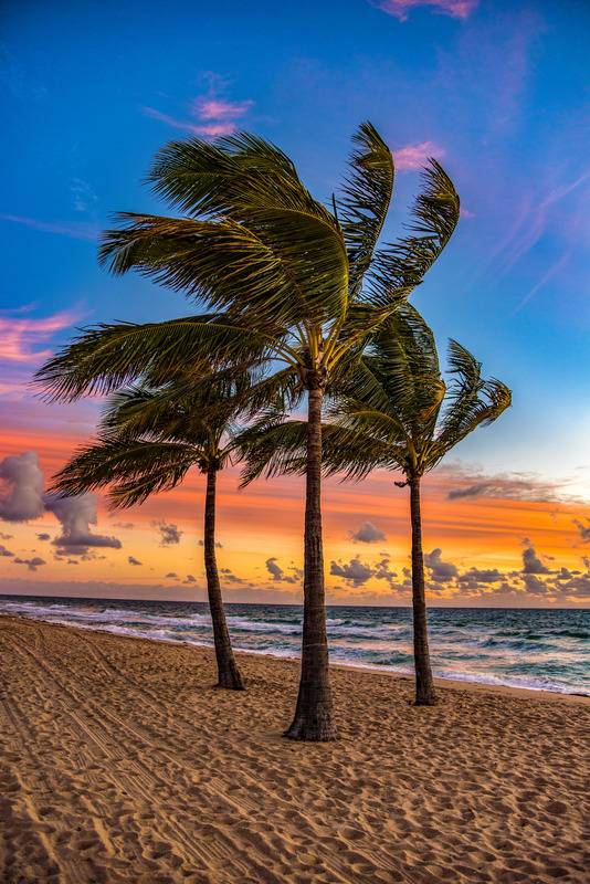 Honey One Real Estate in Pompano Beach, FL (6)