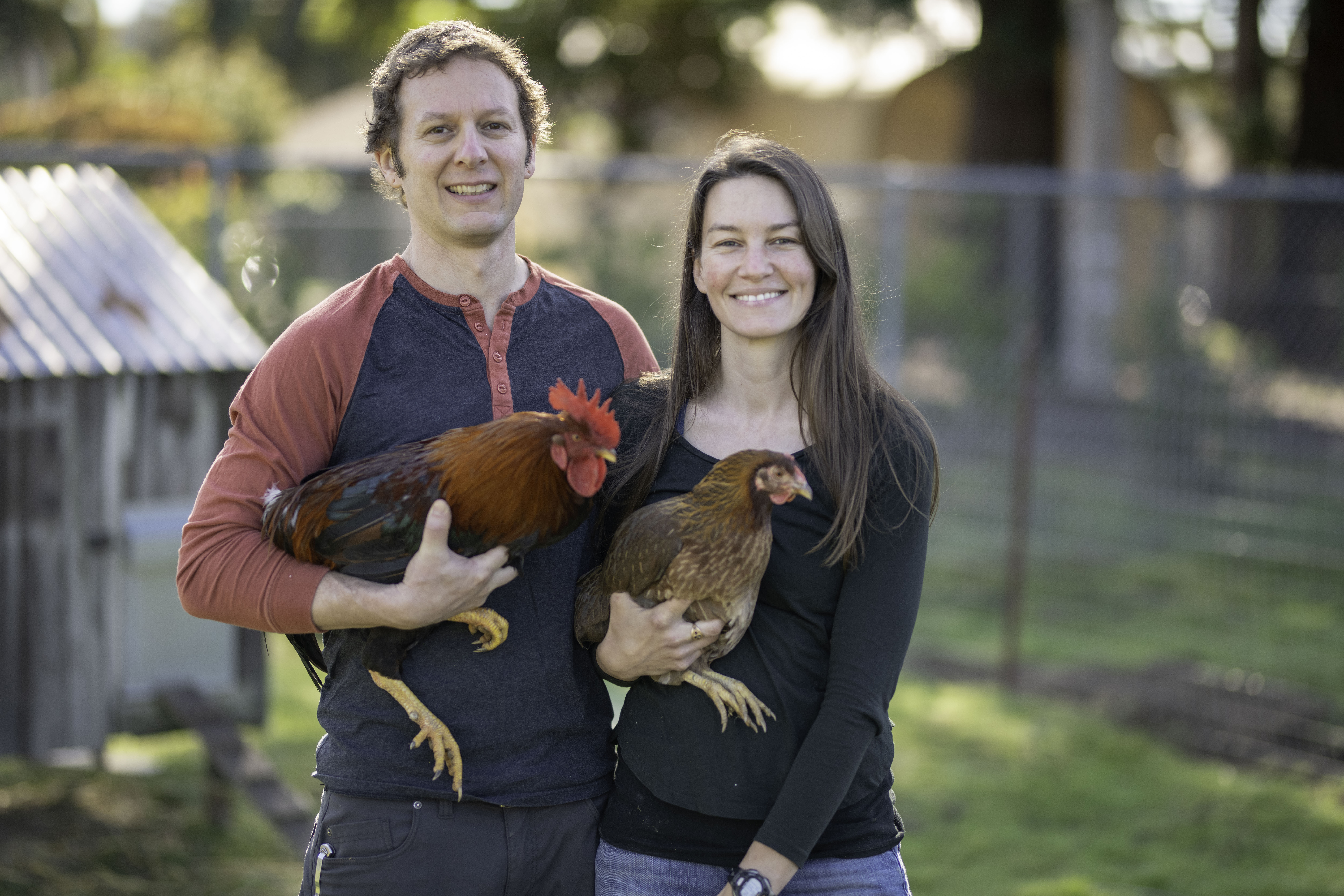 Alchemist Farm in Sebastopol, CA