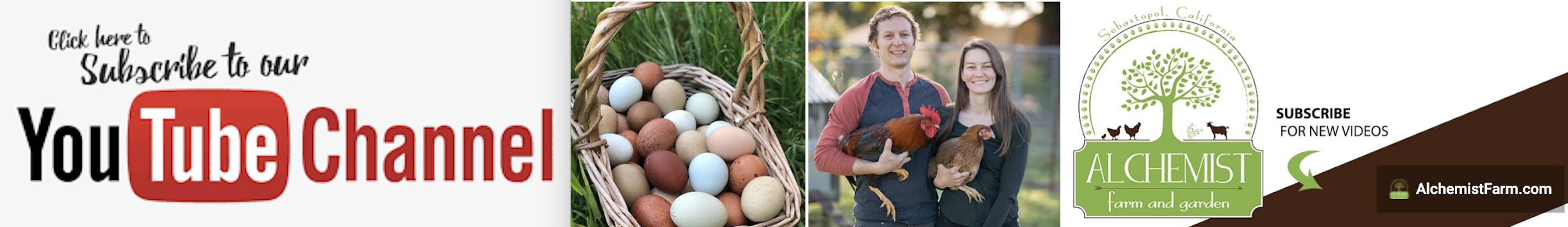 Alchemist Farm in Sebastopol, CA (2)