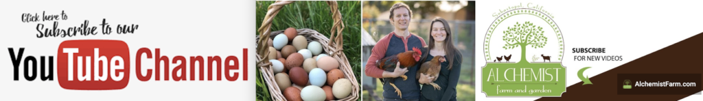 Alchemist Farm in Sebastopol, CA (3)