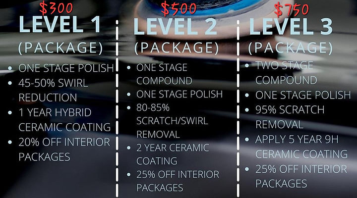 Fly & Shine Mobile Detailing in Bradenton, FL (3)