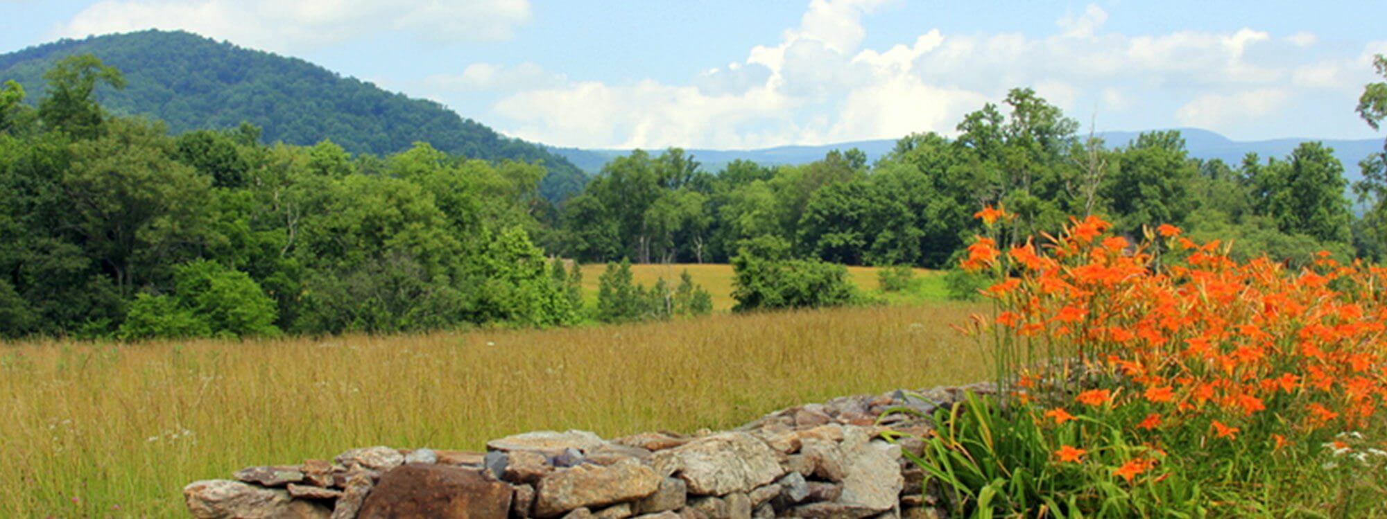 Madison VA Real Estate in Madison, VA (5)