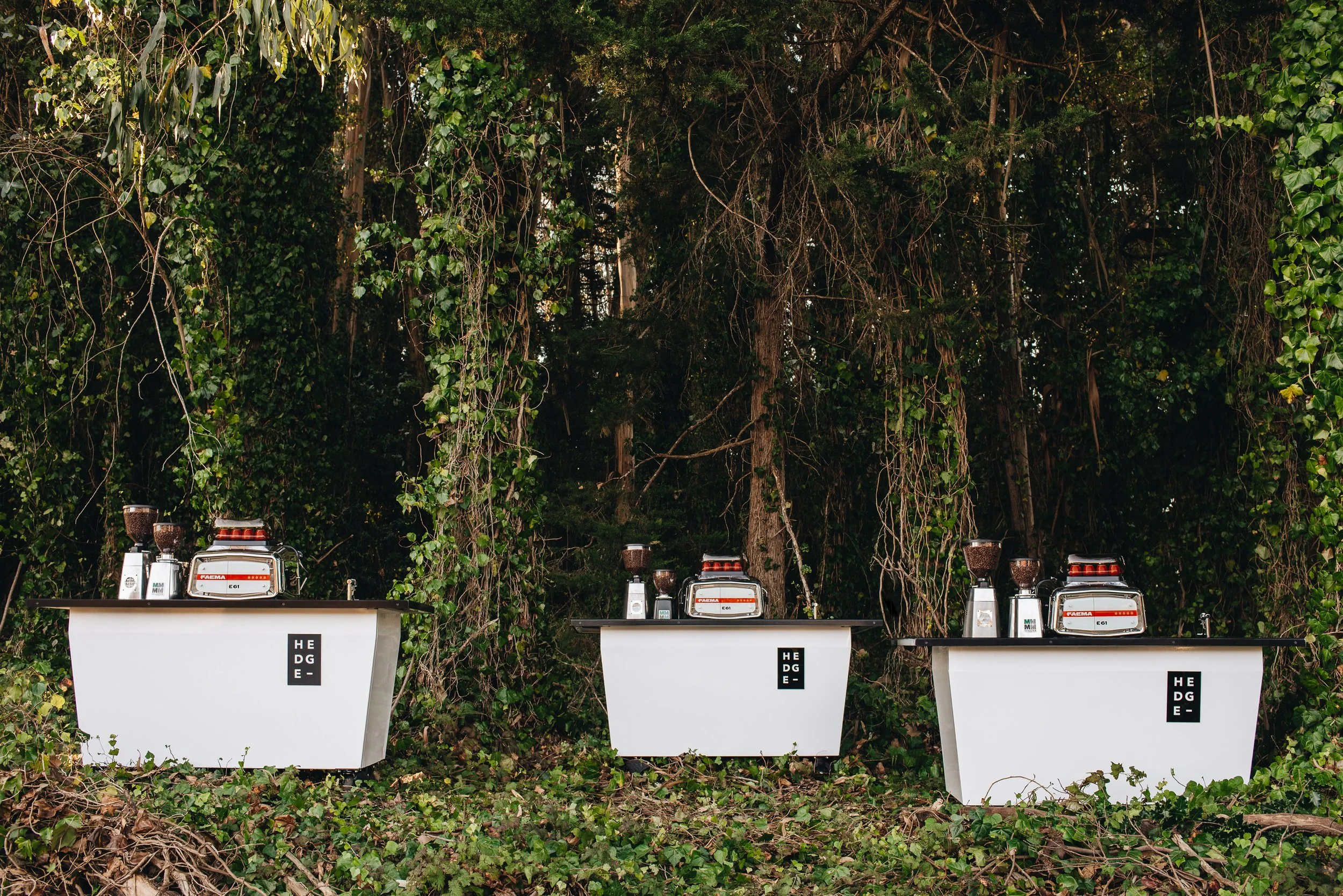 Hedge Coffee in San Francisco, CA