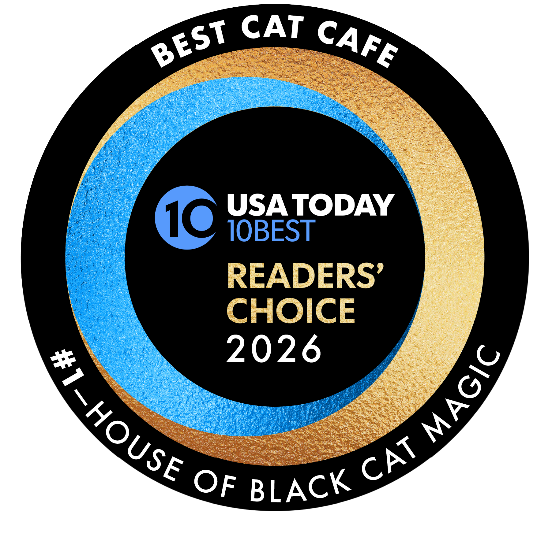 House of Black Cat Magic in Asheville, NC (4)