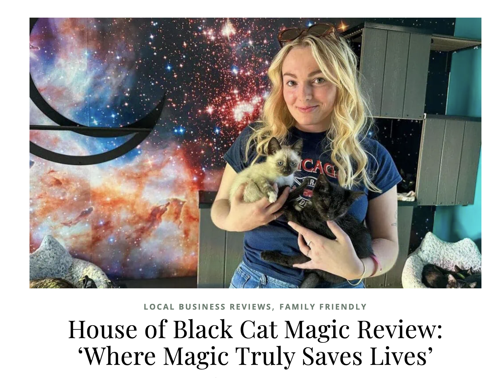 House of Black Cat Magic in Asheville, NC (6)