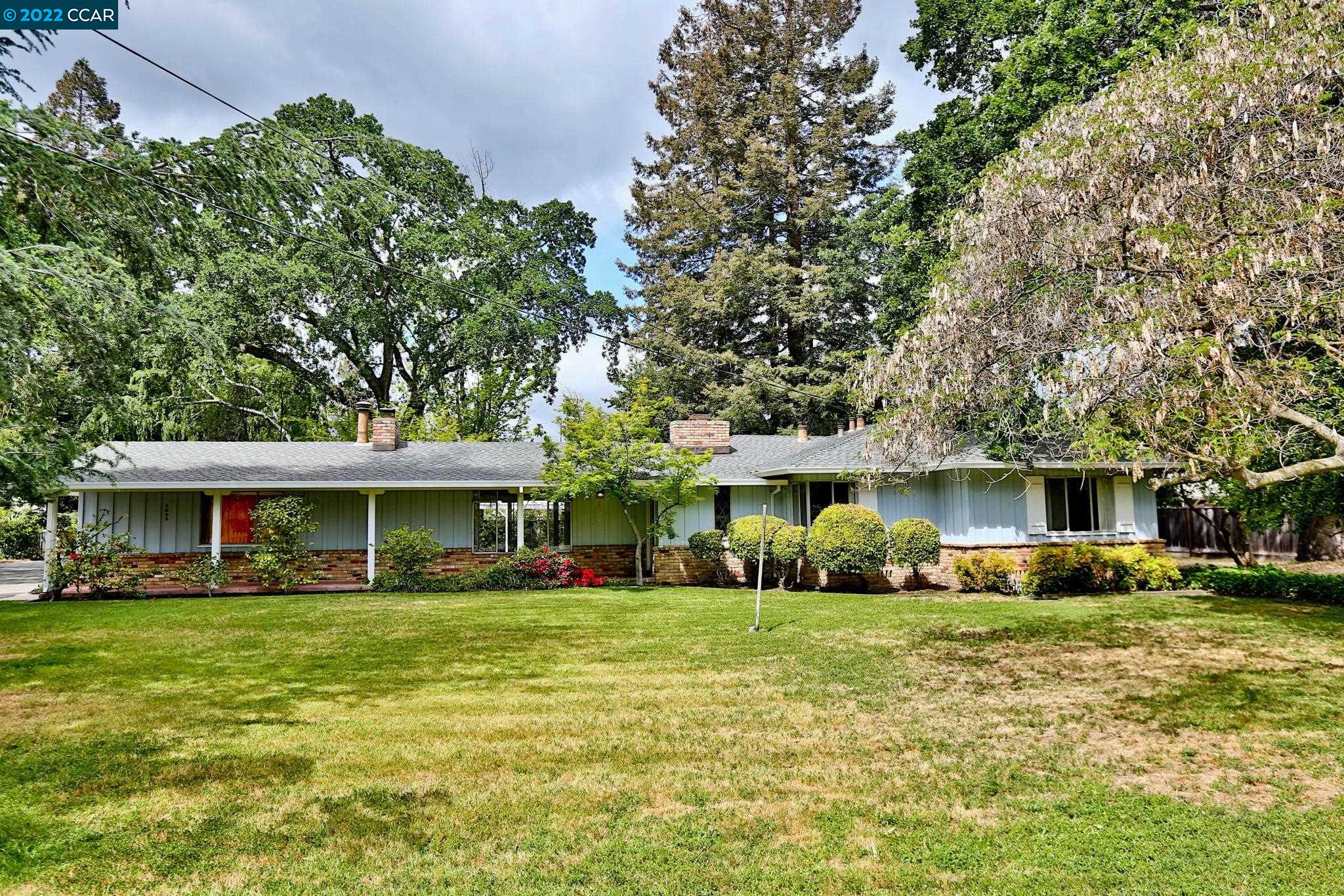 Soraya Golesorkhi, Realtor in Orinda, CA (6)