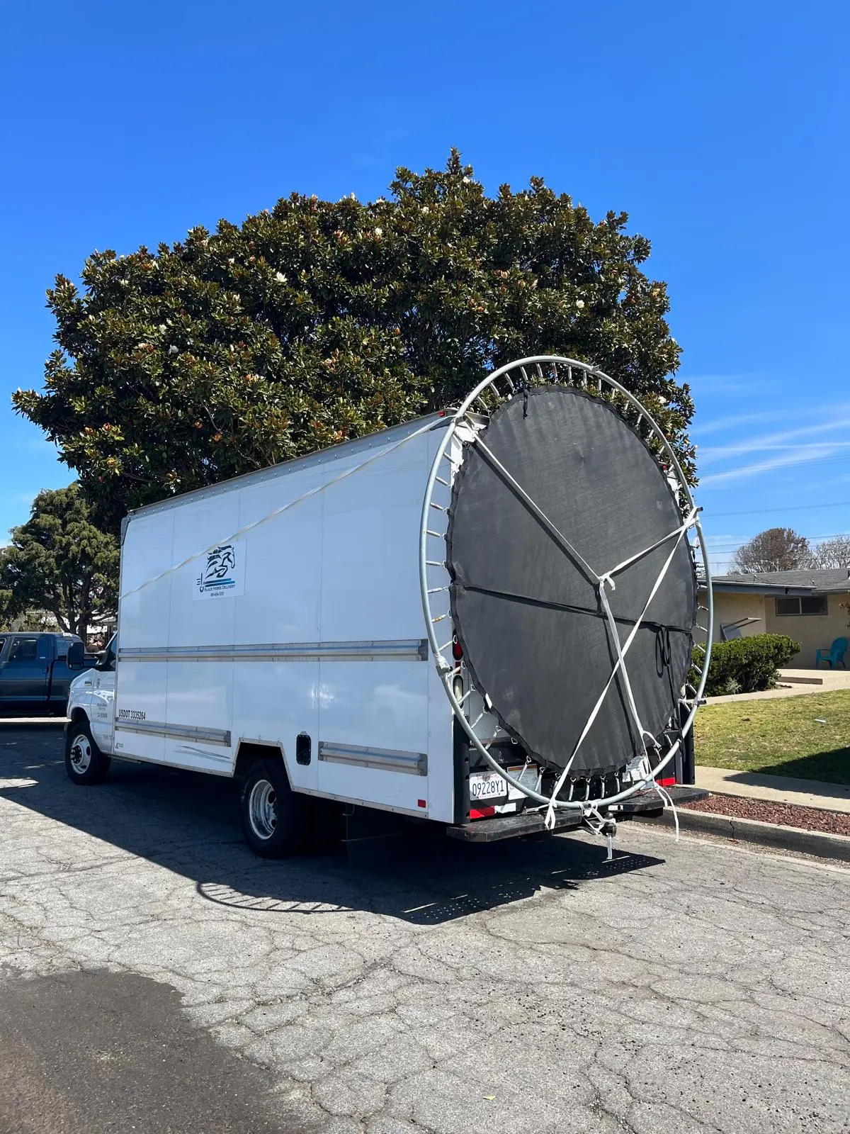 Black Horse Delivery in Ventura, CA (6)