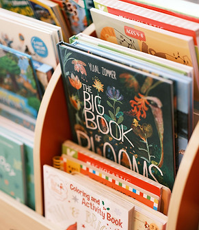 Wonderland Bookshop in Shorewood, WI (5)