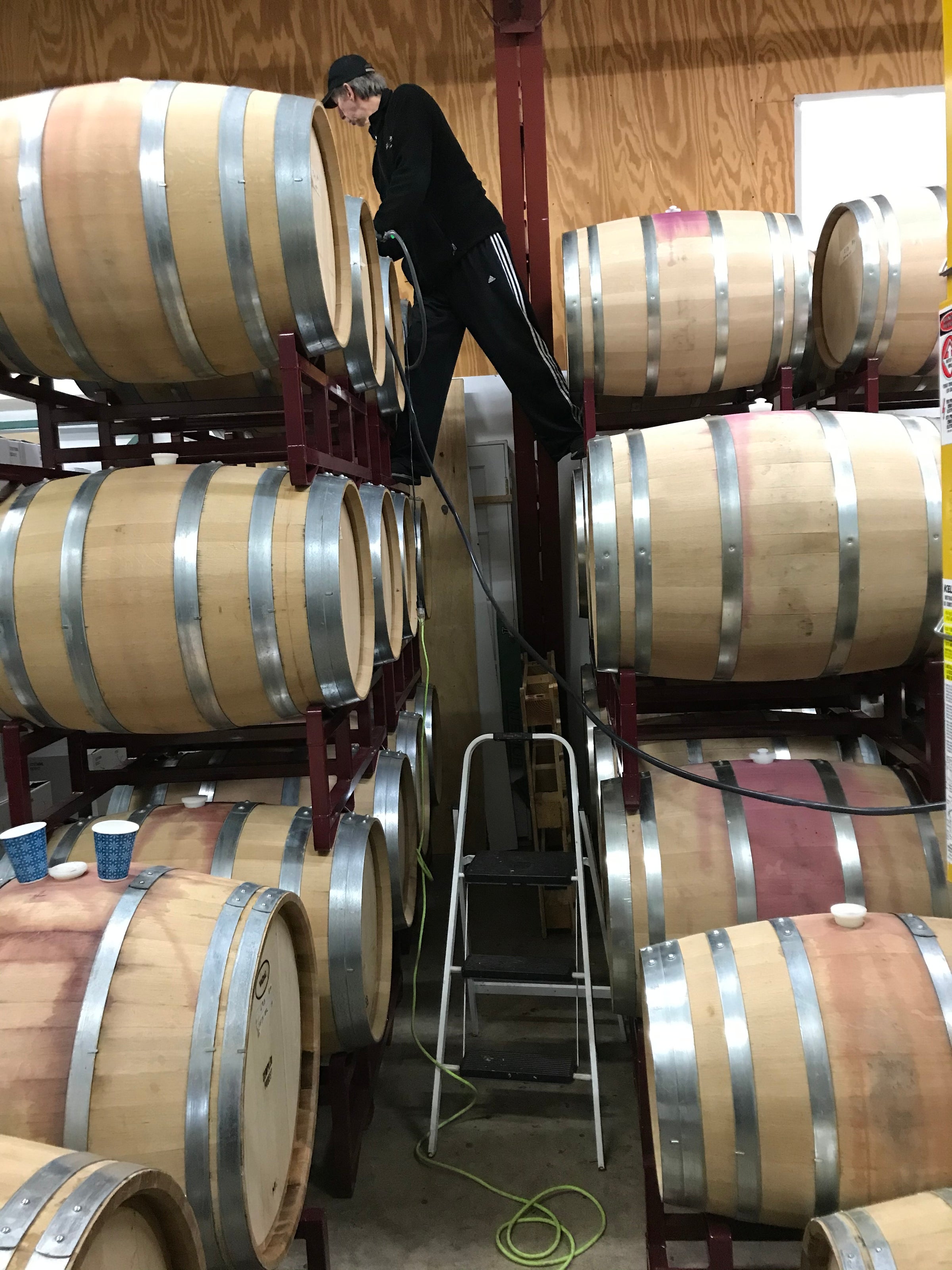 Sable Creek Winery in Romeoville, IL (3)