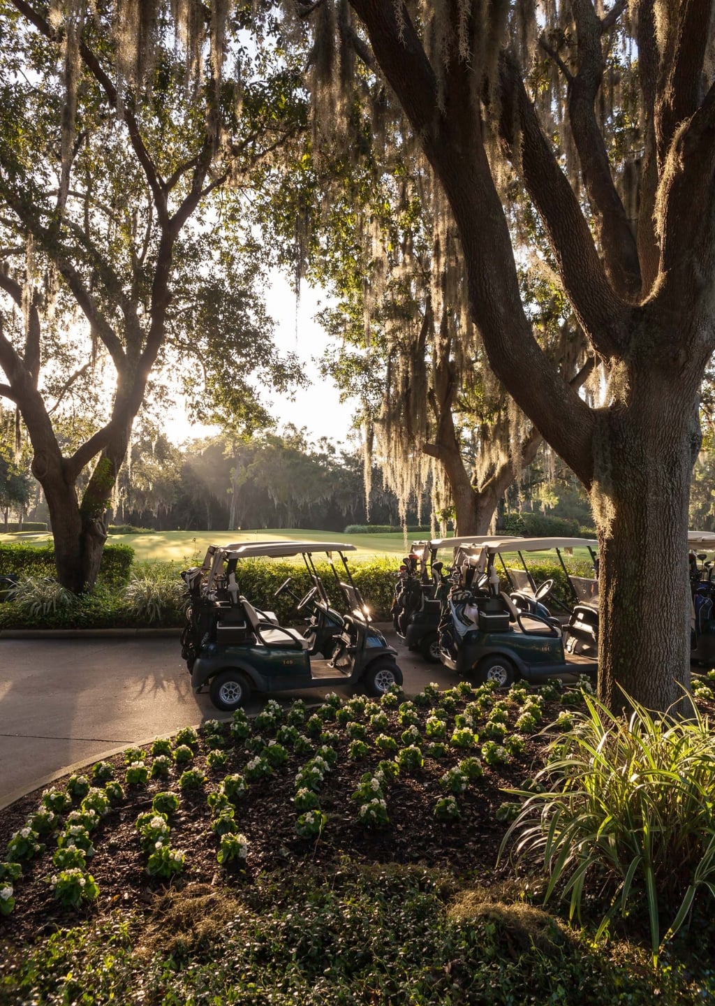 Innisbrook Resort in Palm Harbor, FL