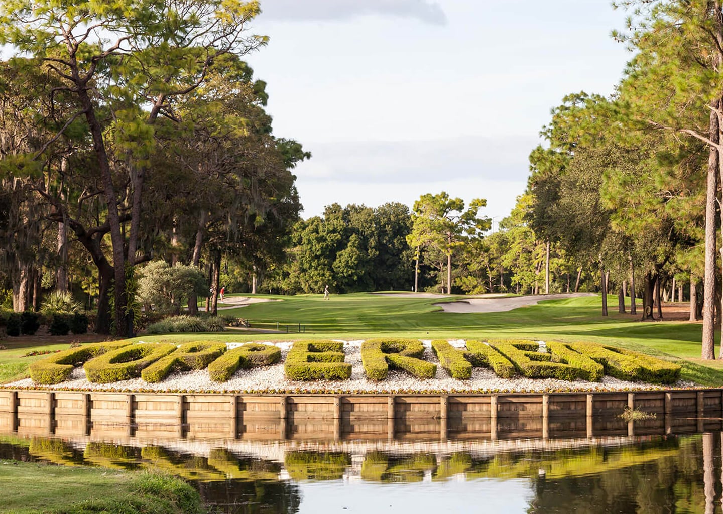 Innisbrook Resort in Palm Harbor, FL (2)