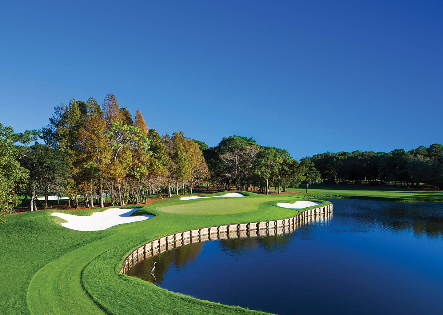 Innisbrook Resort in Palm Harbor, FL (4)