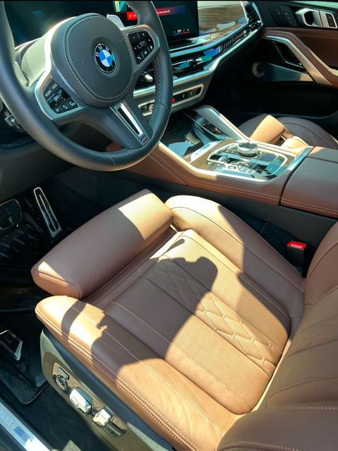 Otters Mobile Detailing in Rochester Hills, MI (5)
