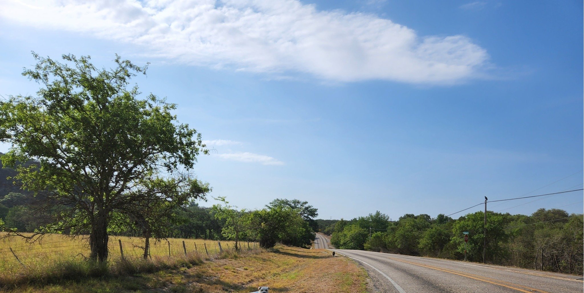 My Sunday Drive in Kerrville, TX (6)