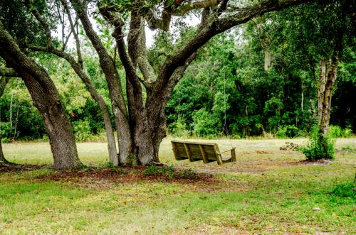 Arcadia Municipal Airport in Arcadia, FL (4)