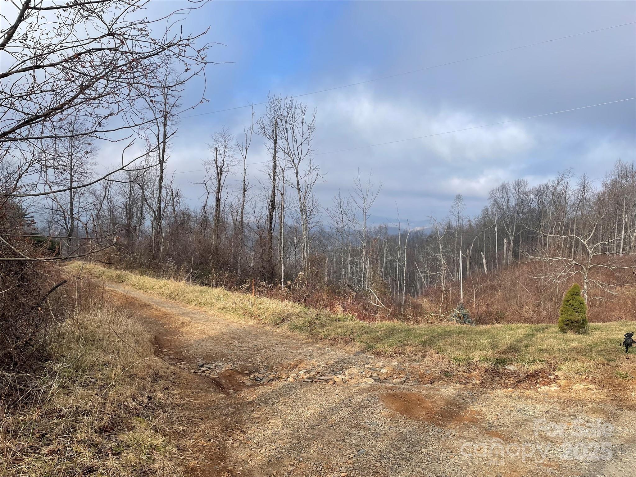 H. Scott & Associates in Brevard, NC (5)