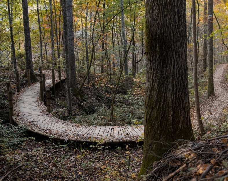 The Gardens in Lake Lure, NC (6)