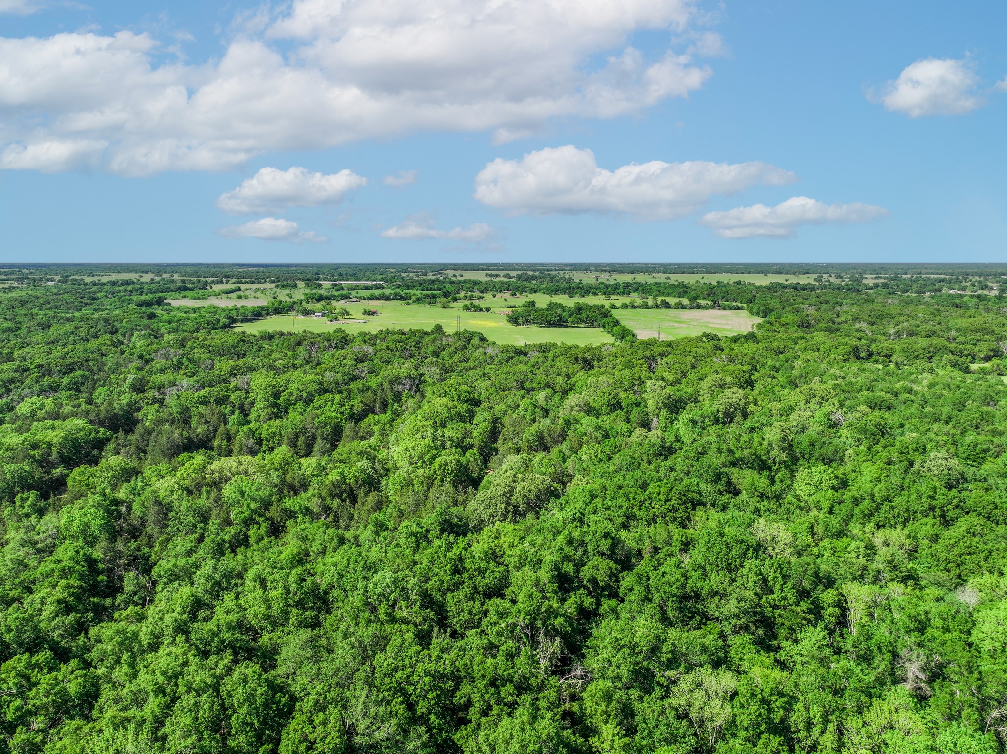 Renee Real Estate Group in Sulphur Springs, TX (2)