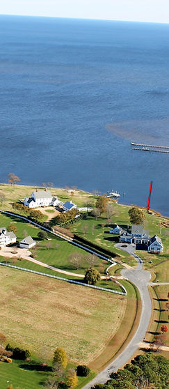 Ann Meekins Real Estate in Irvington, VA (4)