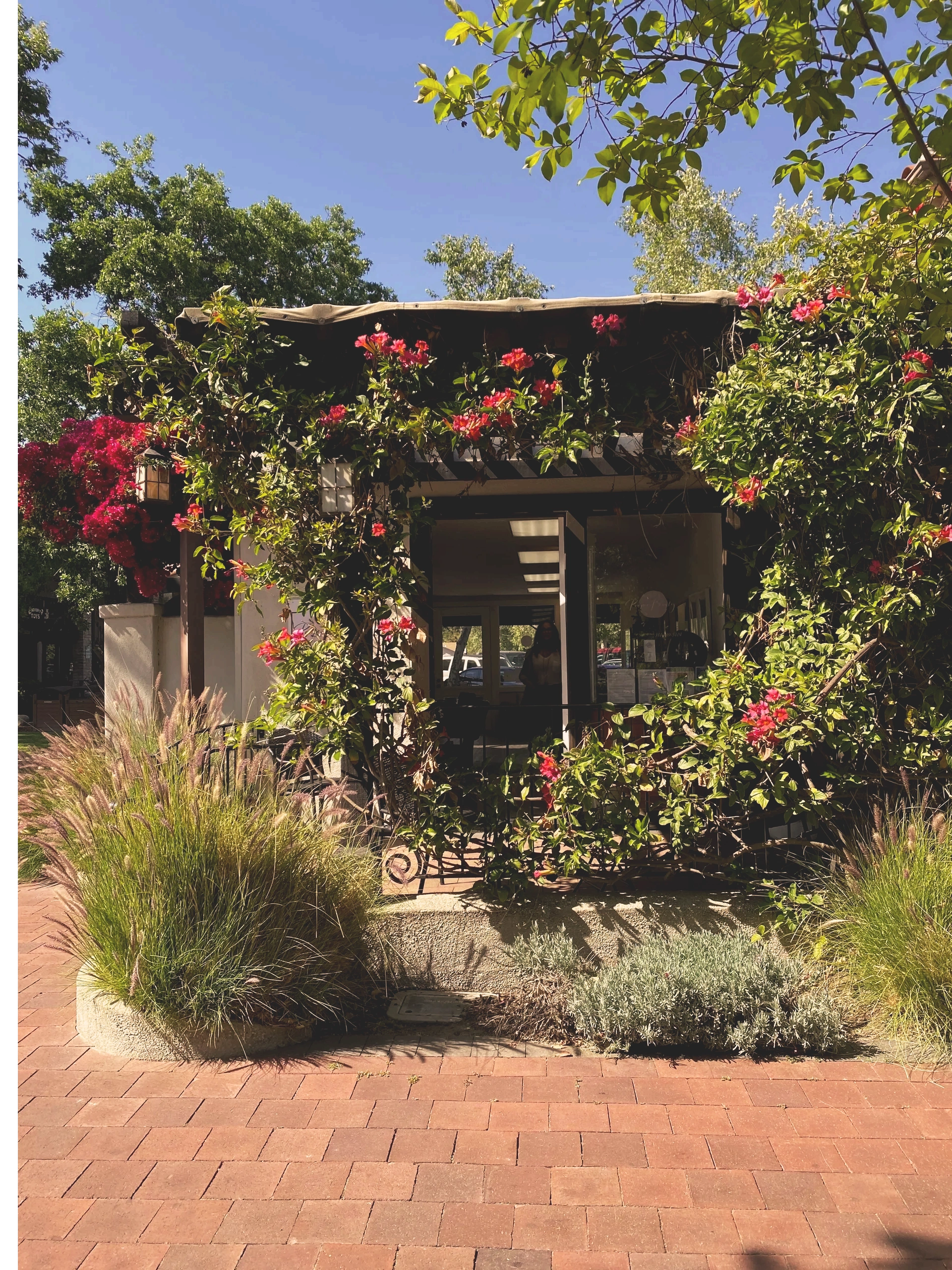 Proper Beauty Ojai in Ojai, CA