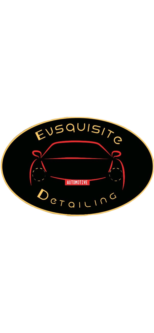 Evsquisite Mobile Detailing in Philadelphia, PA (4)