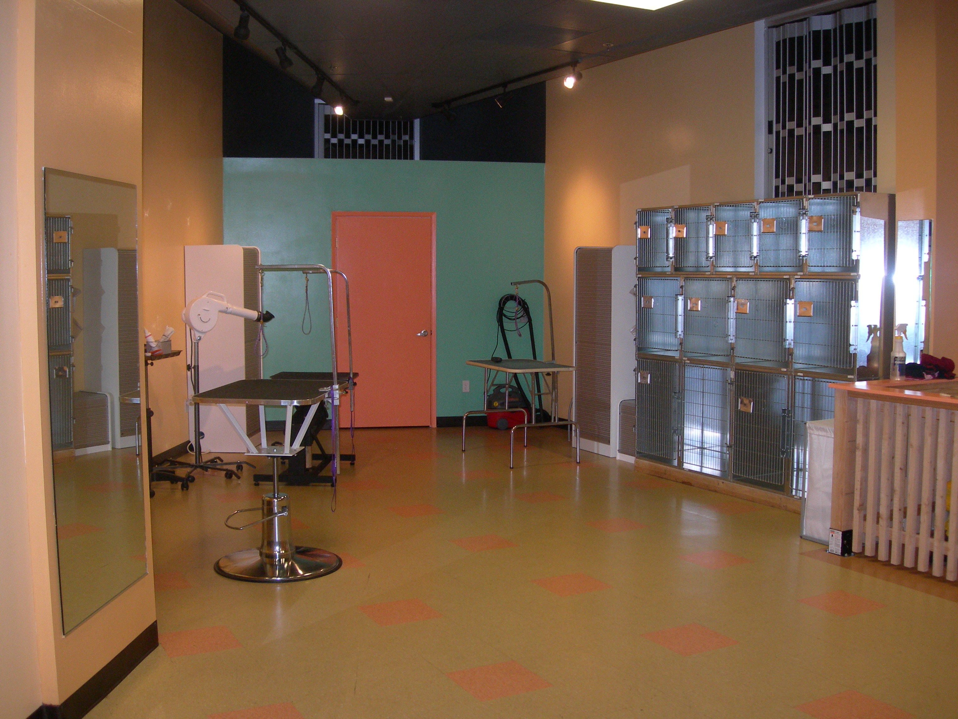all about the DOGue salon & spa in Emeryville, CA